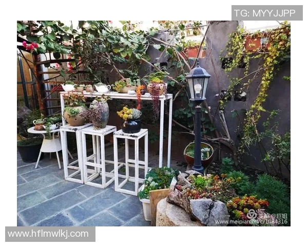 探索刘敏的乒乓球人生背后的故事与心路历程 探索刘敏的乒乓球人生背后的故事与心路历程