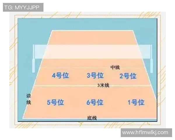 武汉排球队区域防守策略解析及其在排球比赛中的应用与影响 武汉排球队区域防守策略解析及其在排球比赛中的应用与影响