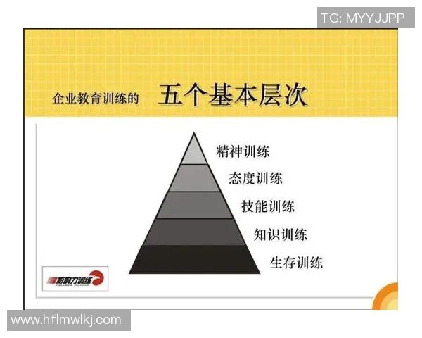运动最新数据热议武汉排球队实力变革背后的训练理念与团队协作新策略