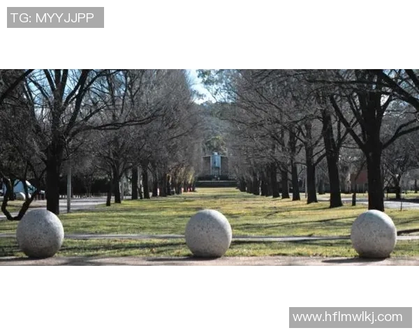 今年运动数据张强的英雄联盟人生从新手到职业选手的深度对话与成长历程
